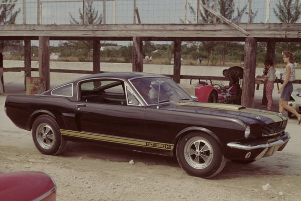 Ford Mustang Shelby GT-350H - 1966
