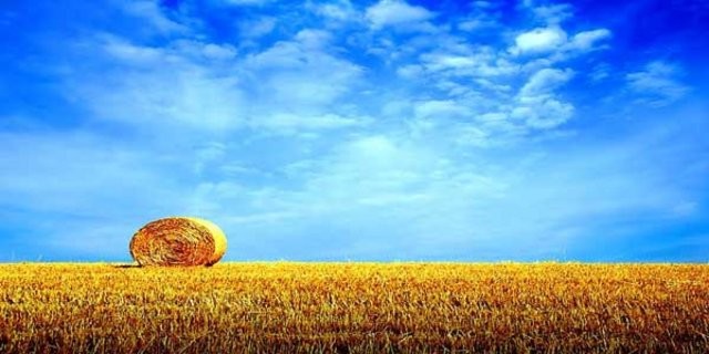 23 Ağustos – 1 Eylül
Mantıklı, becerikli, akıllı, başkalarıyla kolaylıkla bağlantı kurabilen. Aşkı önemseyen, sorunlardan pek hoşlanmayan. Kaliteli ortamlar, elit yerlerden hoşlanan. Cahil insanlardan uzak duran. Keskin gözlem gücüne sahip, bir bakışta eksiklerini görebilen. Olayların ardındaki gerçekleri önemseyen ve öğrenmek isteyen. Çabuk kavrayan, net görmek isteyen, iletişimci.
