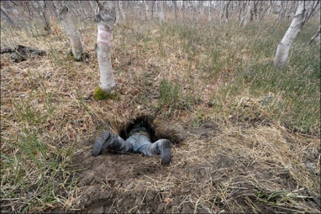 Rusya'da ormanda doğa yürüyüşü yapan genç adam denk geldiği  ayı yuvasını görüntülemeye başardı.