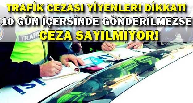 Trafik Cezalarının Çoğunu Ödemek Zorunda Değilsiniz!